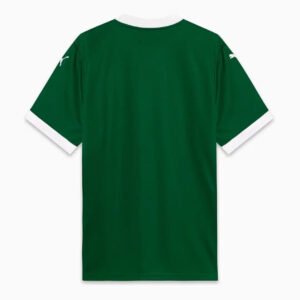 SE Palmeiras Home Soccer Jersey 2025/26