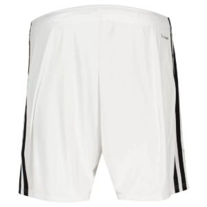 Belgium Away Soccer Shorts 2026 World Cup