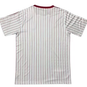 Benfica Terrace Icon Shirt 2025/26