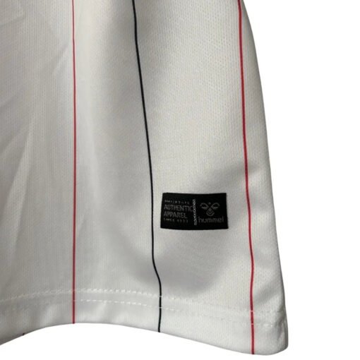 FC Köln Lifestyle Special Soccer Jersey 2025/26