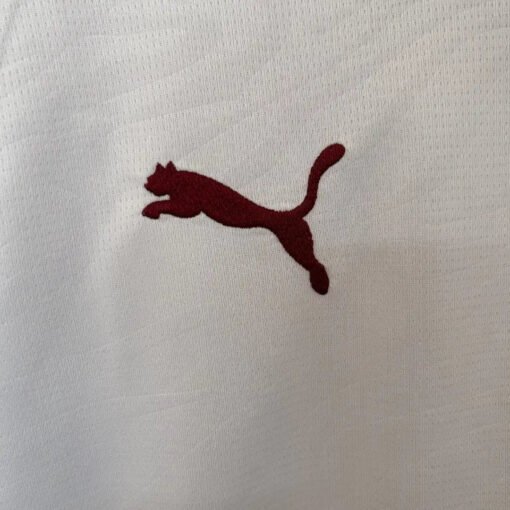 Fluminense FC Away Soccer Jersey 2026/27