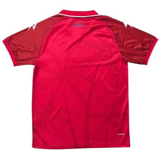 Haiti Third Away Soccer Jersey 2026 World Cup