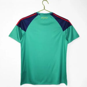 IKER1CASILLASRETROJERSEY2010WORLDCUPHOMEKIT_8.jpg IKER #1 Spain 2010 Goalkeeper Retro Football Jersey