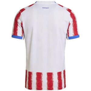 Paraguay Home Football Jersey World Cup 2026